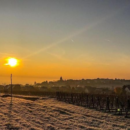Vila Le Vent D'Ange Zellenberg Exteriér fotografie