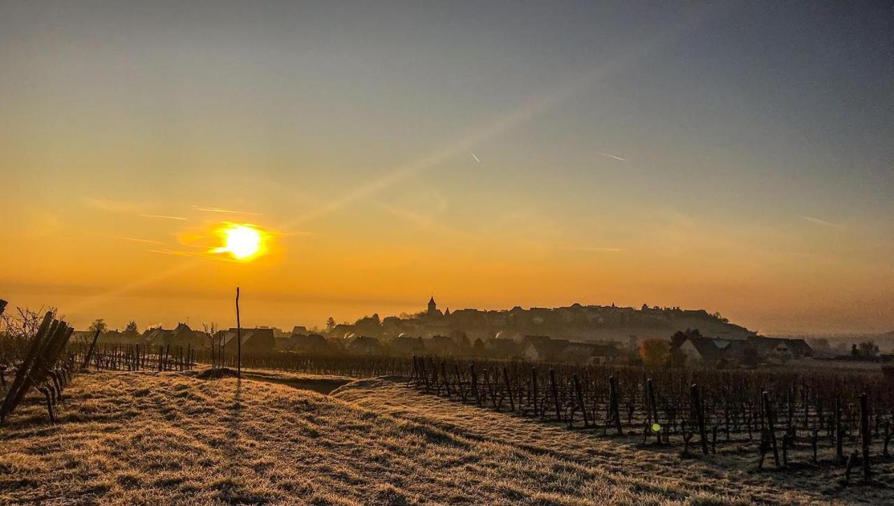 Vila Le Vent D'Ange Zellenberg Exteriér fotografie