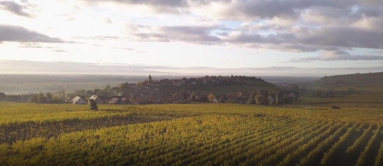 Vila Le Vent D'Ange Zellenberg Exteriér fotografie